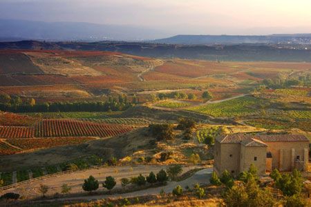 Rioja Scenery